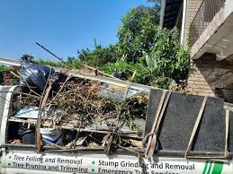 Retail Junk Removal in Springfield, CO